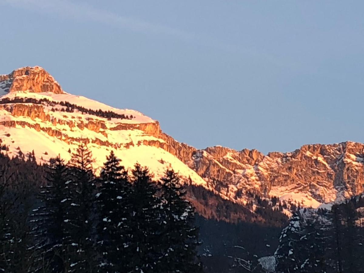 Cretes Du Vercors Vue Magnifique فيلارد دي لانس المظهر الخارجي الصورة