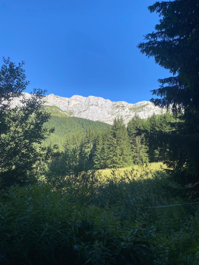 Cretes Du Vercors Vue Magnifique فيلارد دي لانس المظهر الخارجي الصورة